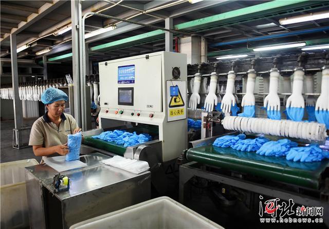 產學研一體化為翼，丁腈手套海外市場熱銷調查